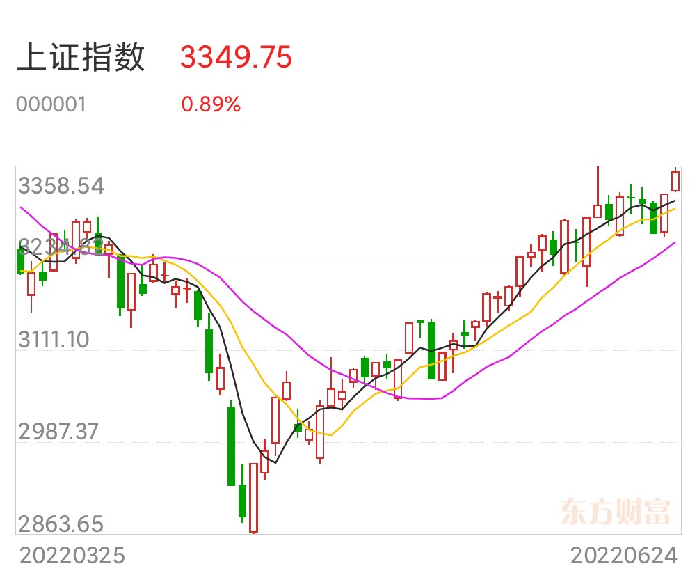 东方网络股票(东方网络股票的基本信息)