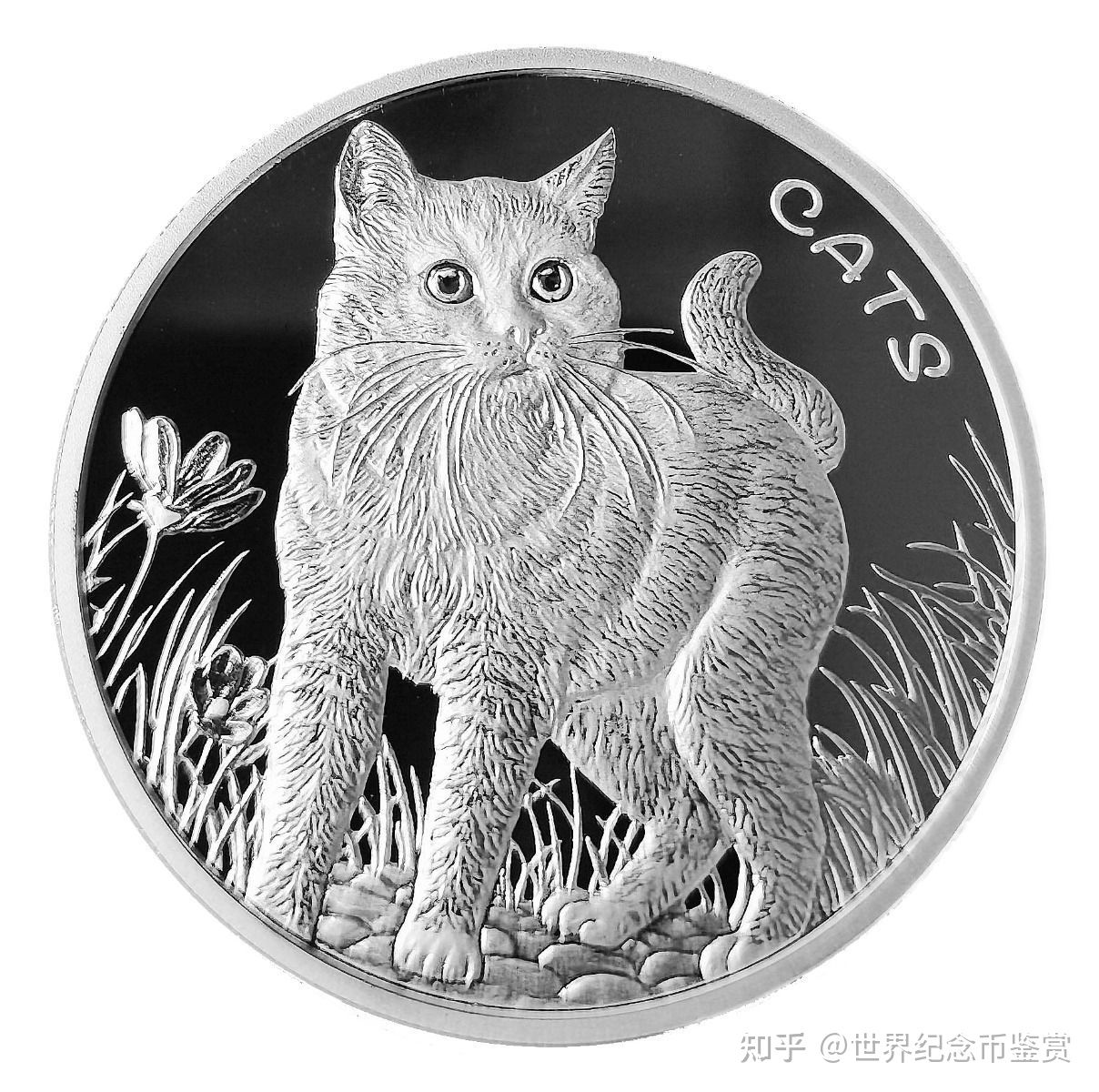 斐济币人民币(斐济币人民币兑换汇率)